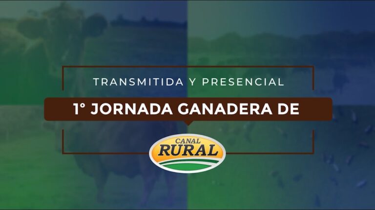 Canal Rural en Vivo: Disfruta de la Transmisión Online